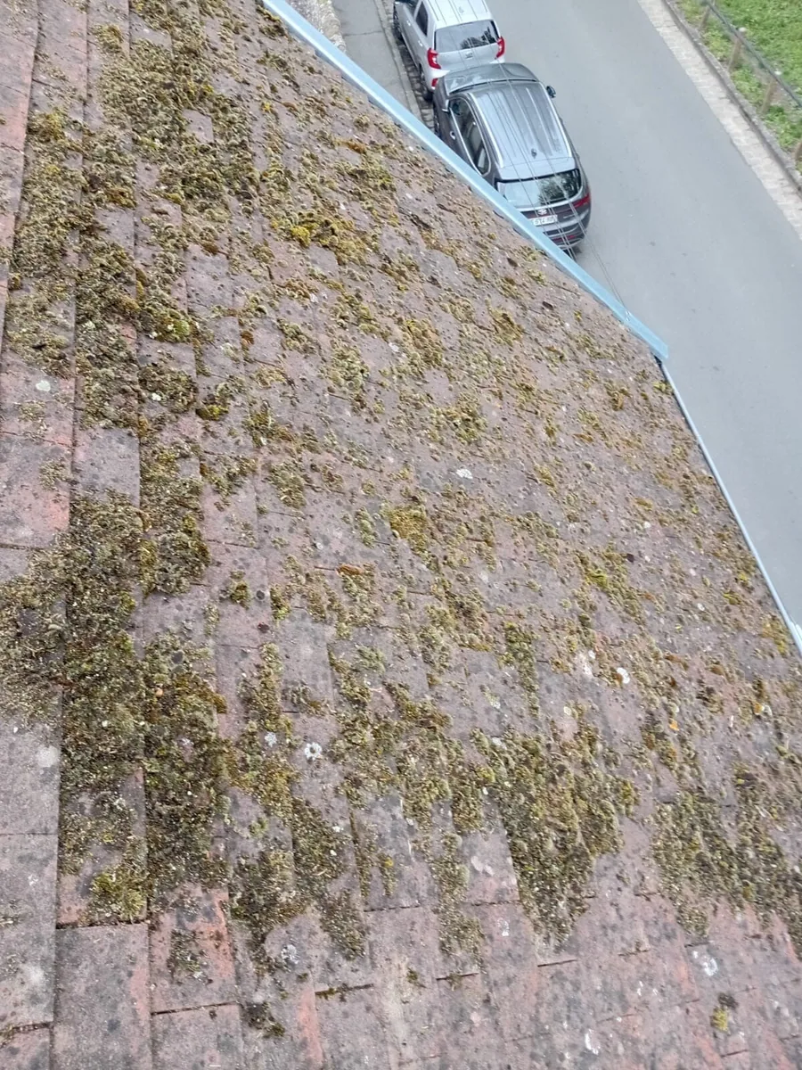 Toiture encrassée vue du dessus — Un tapis de mousse continu : à ce stade, il est temps d'intervenir.